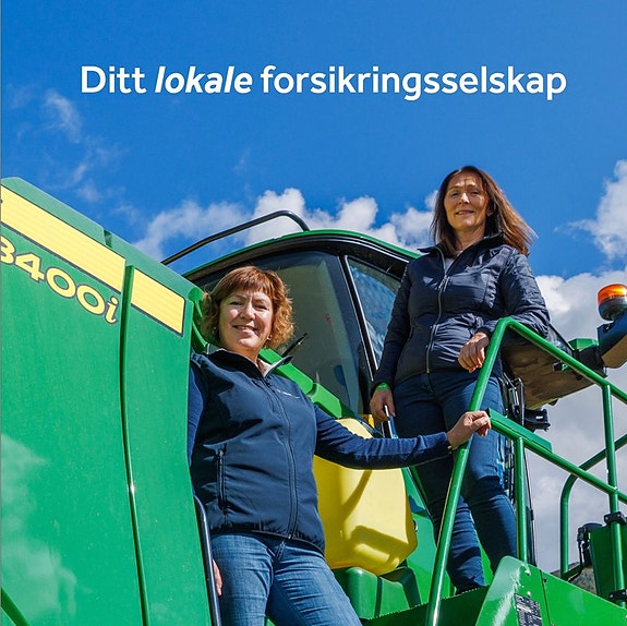 Bilde 3 av 8 i jobbannonse-galleriet