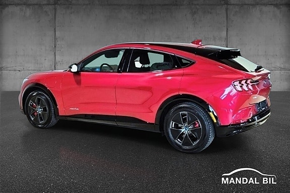 Ford Mustang Mach-E 12 of 30