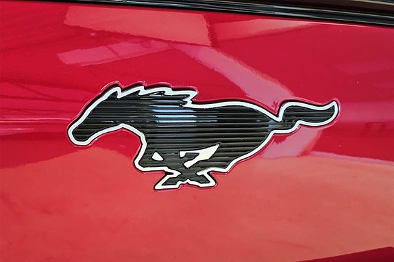 Ford Mustang Mach-E 22 of 30