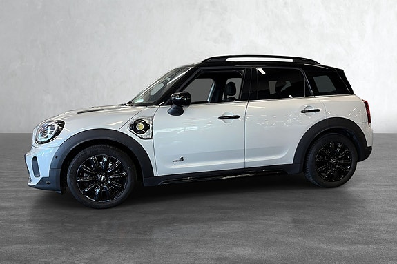 Sorte Mini Felger