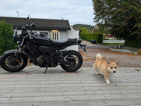 Yamaha XSR 700 13 of 13