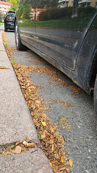 Toyota Prius 13 of 19