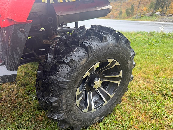 Arctic-cat 500 EFI 4x4 5 of 8
