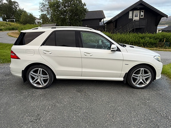 Mercedes-Benz ML250 23 of 30