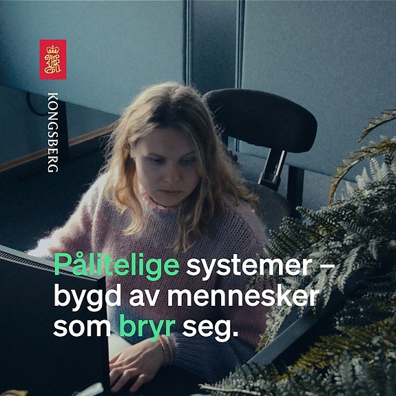 Bilde 1 av 5 i jobbannonse-galleriet
