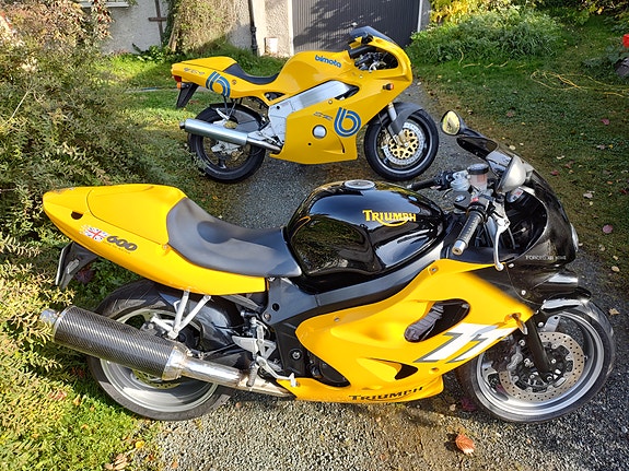 Triumph TT 600 25 of 25