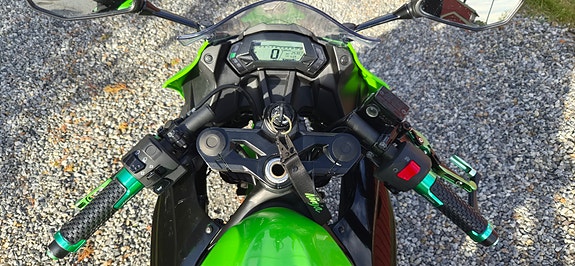 Kawasaki Ninja 125 12 of 12