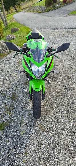 Kawasaki Ninja 125 2 of 12
