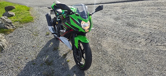 Kawasaki Ninja 125 10 of 12