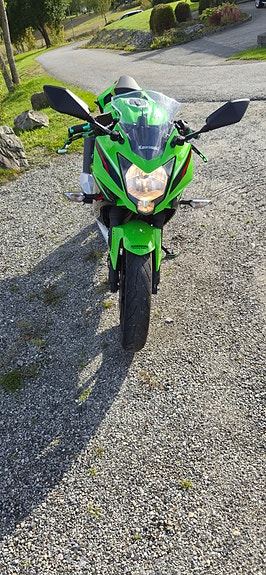 Kawasaki Ninja 125 8 of 12