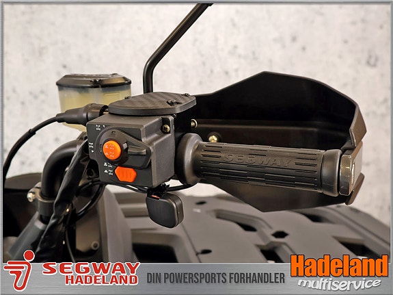 Segway Snarler AT6L ABS Fully Equipped 100Km/t 10 of 13