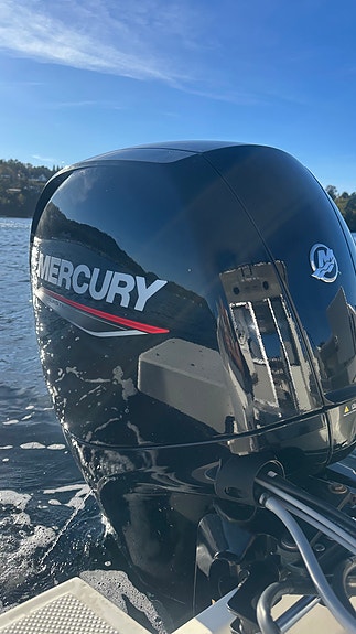 Quicksilver 625 Pilothouse -Kun 163 timer! Mye utstyr, fradragsberettiget MVA 9 of 30