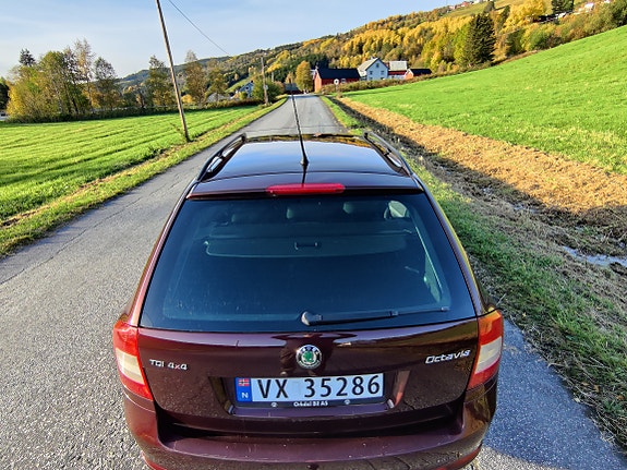 Skoda Octavia 15 of 30