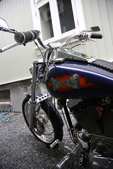 Harley-Davidson 1340 SOFTTAIL 29 of 30