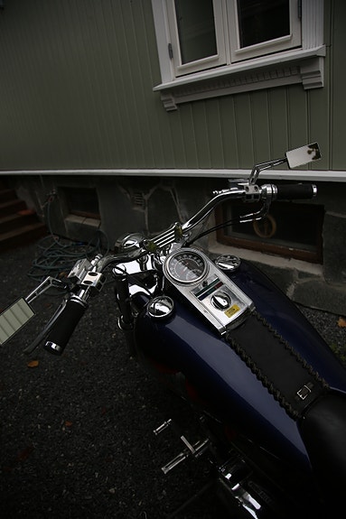 Harley-Davidson 1340 SOFTTAIL 9 of 30