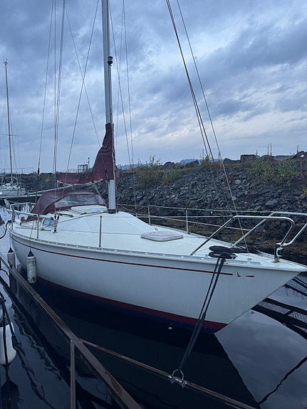 Albin Cirrus 1981, 26 fot 3 of 30