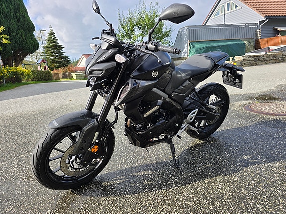 Yamaha MT-125 8 of 8
