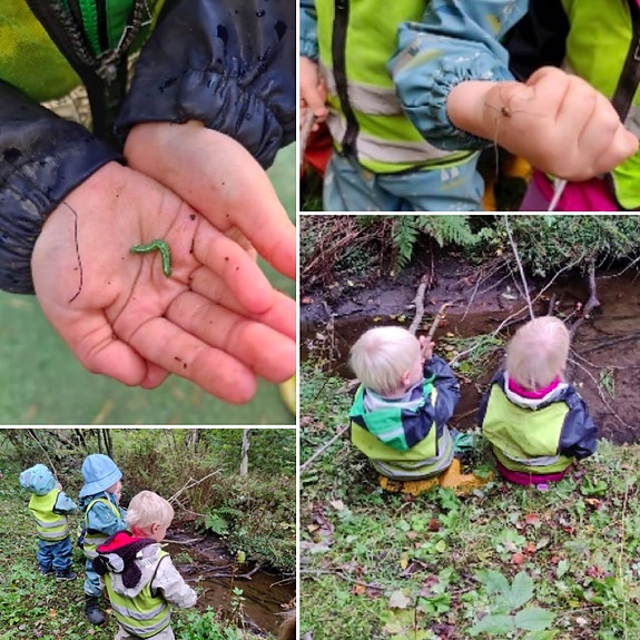 Skogen er vår lekeplass
