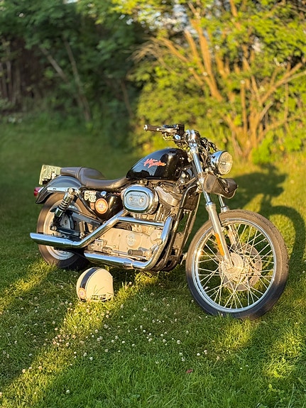 Harley-Davidson XL 883 Sportster 3 of 9