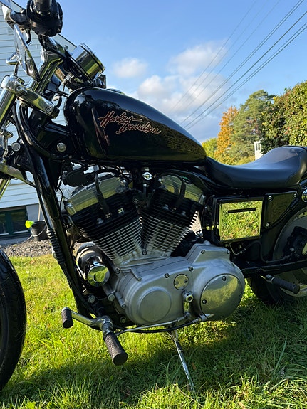 Harley-Davidson XL 883 Sportster 7 of 9