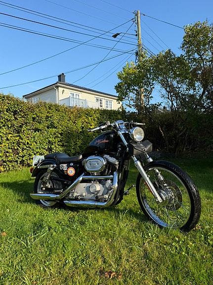 Harley-Davidson XL 883 Sportster 8 of 9