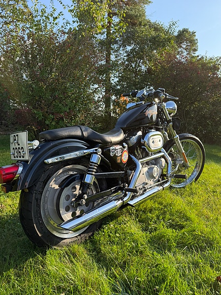 Harley-Davidson XL 883 Sportster 6 of 9