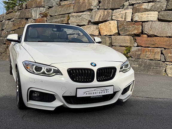 BMW 220i 3 of 30