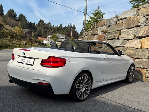 BMW 220i 18 of 30