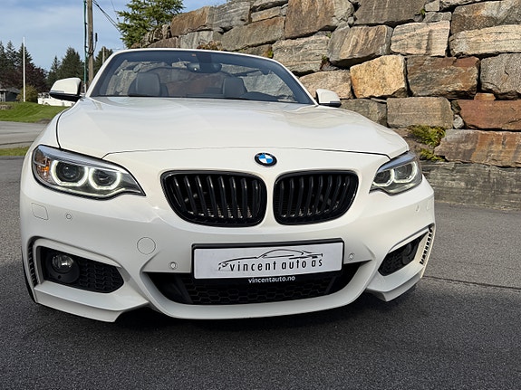 BMW 220i 4 of 30