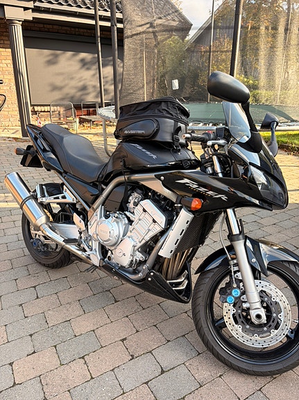 Yamaha FZS 1000 Fazer 15 of 19