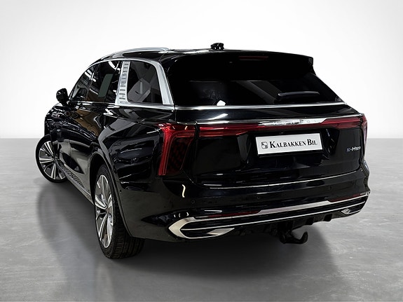 Hongqi E-HS9 10 of 30