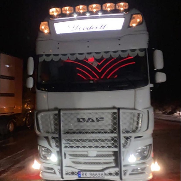 DAF DAF SF 105 Superspace cab 29 of 30
