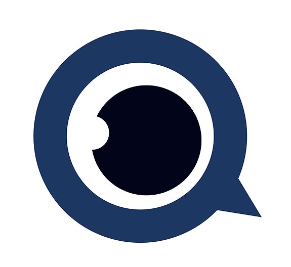Birdsview logo