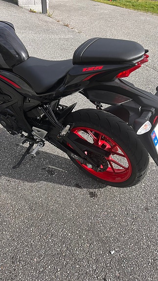 Suzuki GSX-S 125 9 of 9
