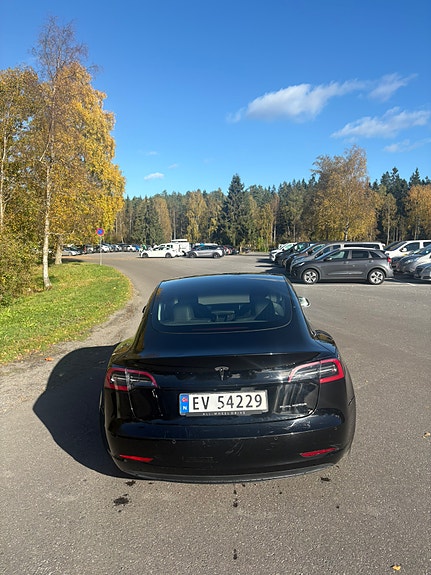 Tesla Model 3 5 of 20