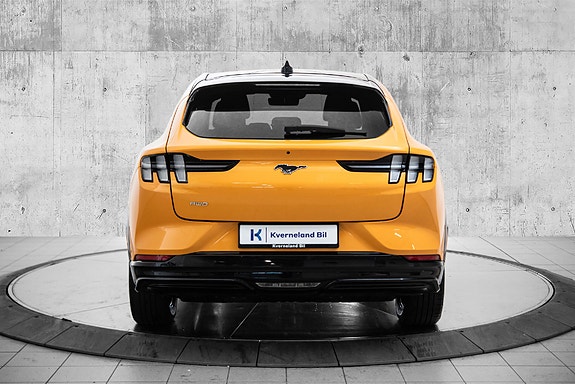 Ford Mustang Mach-E 4 of 25