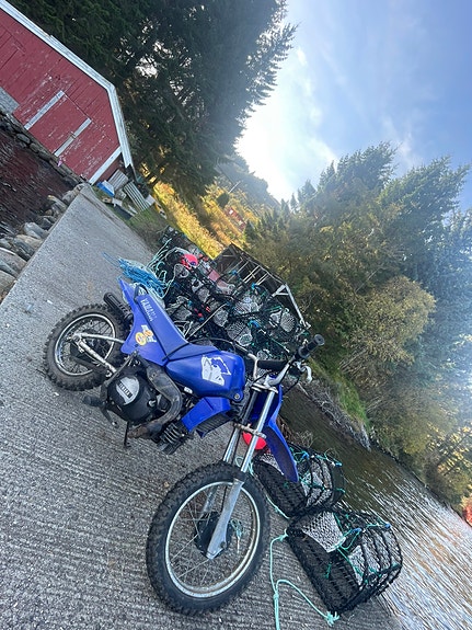 Yamaha PW80 3 of 5
