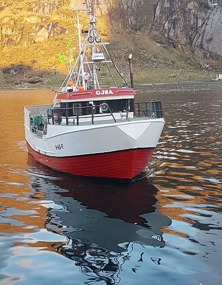 NYHET! M/S GJØA - LL4213 inkl. Torsk, hyse og sei N62° N, 8-9m, Region Nord 2 of 30