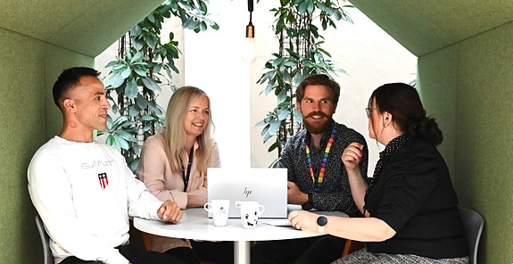 Bilde 1 av 3 i jobbannonse-galleriet
