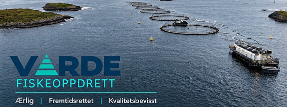 Bilde fra arbeidsgiver