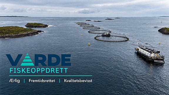 Bilde 1 av 2 i jobbannonse-galleriet
