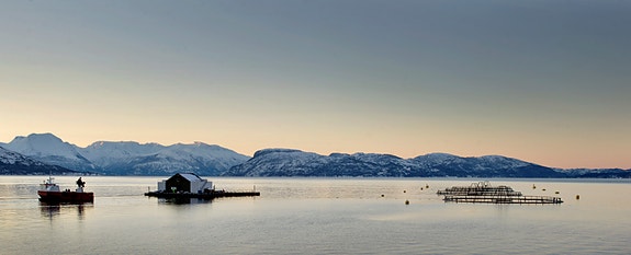 Bilde 2 av 2 i jobbannonse-galleriet