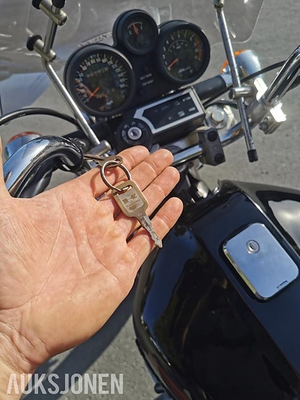 Kawasaki ZN 1100 LTD 16 of 30