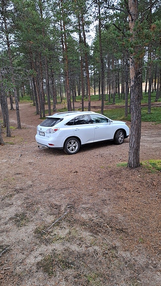 Lexus RX450h 3 of 5