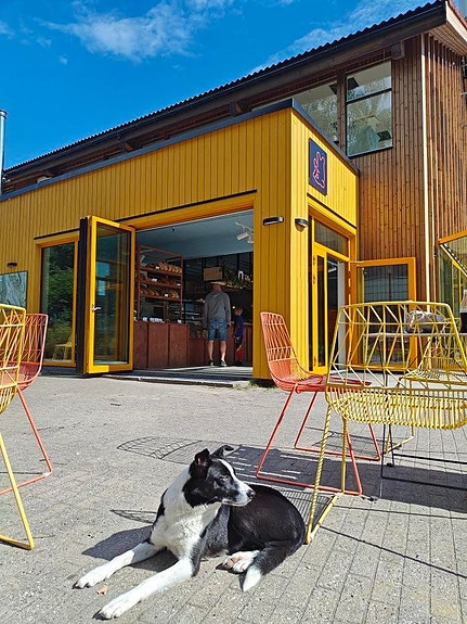 Bilde 1 av 2 i jobbannonse-galleriet