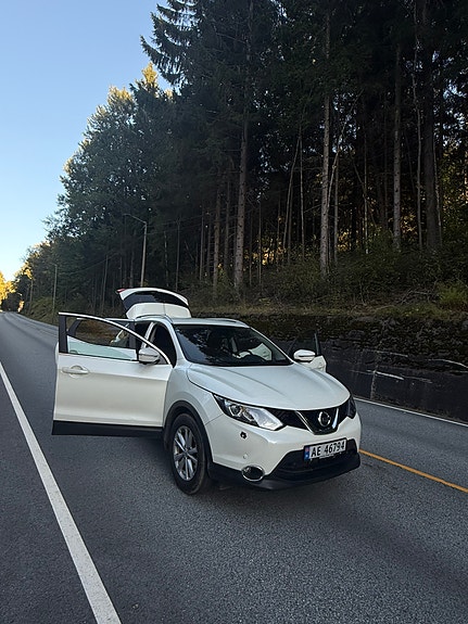 Nissan Qashqai 12 of 13
