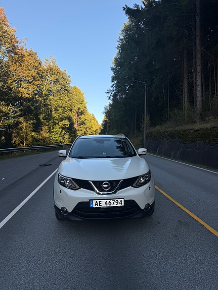 Nissan Qashqai 13 of 13