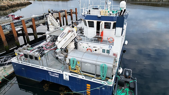 Vard Aukra B : 842 EA Luma i stål 8 of 30