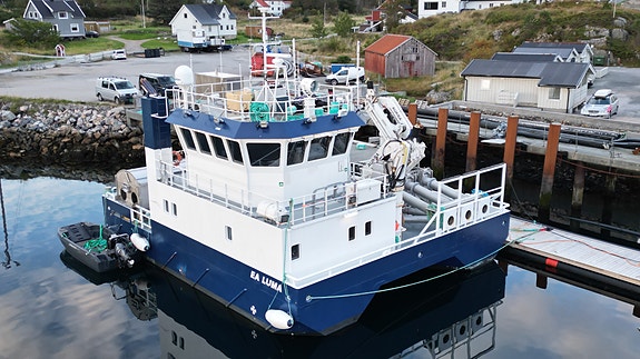 Vard Aukra B : 842 EA Luma i stål 4 of 30