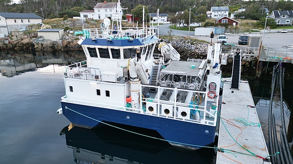 Vard Aukra B : 842 EA Luma i stål 18 of 30